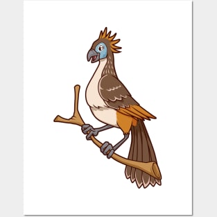 Kawaii Hoatzin Posters and Art